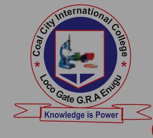 Coal City International College crest